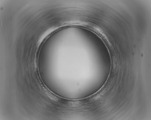 X0000060801328200511241900