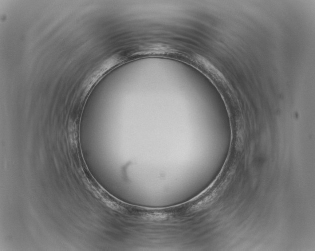 X0000060801329200511241900