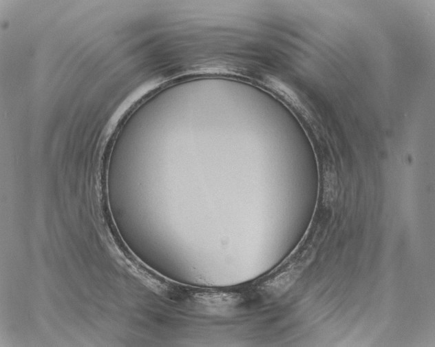 X0000060801331200511241900