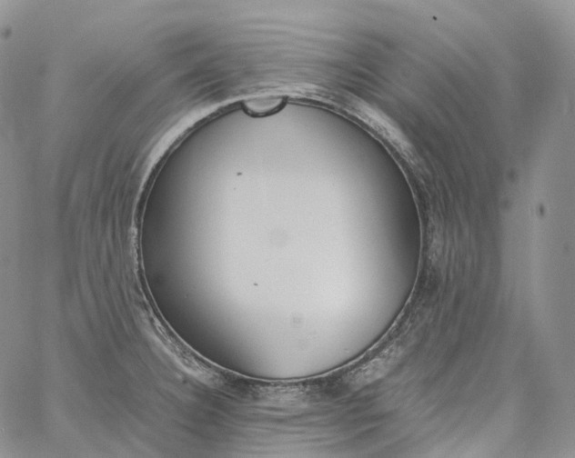 X0000060801332200511241900