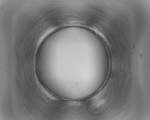 X0000060801333200511241900