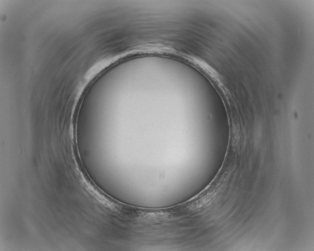 X0000060801335200511241900