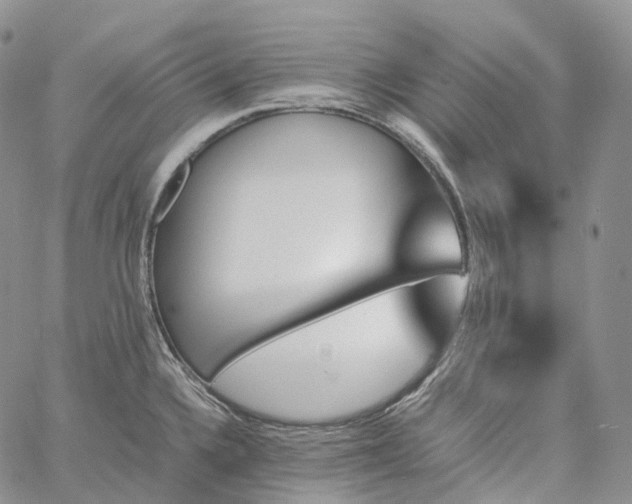 X0000060801336200511241901