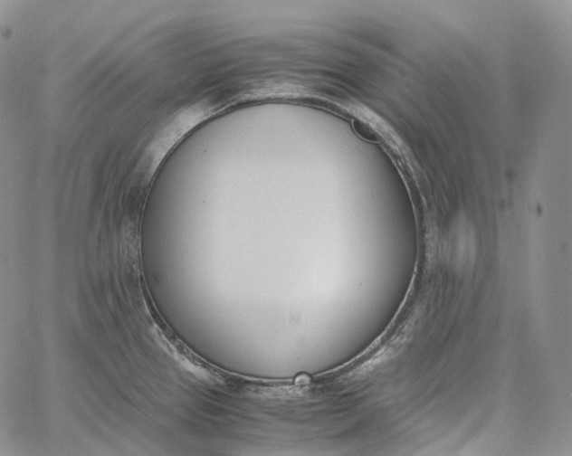 X0000060801337200511241901