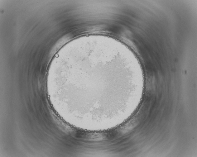 X0000060801338200511241901