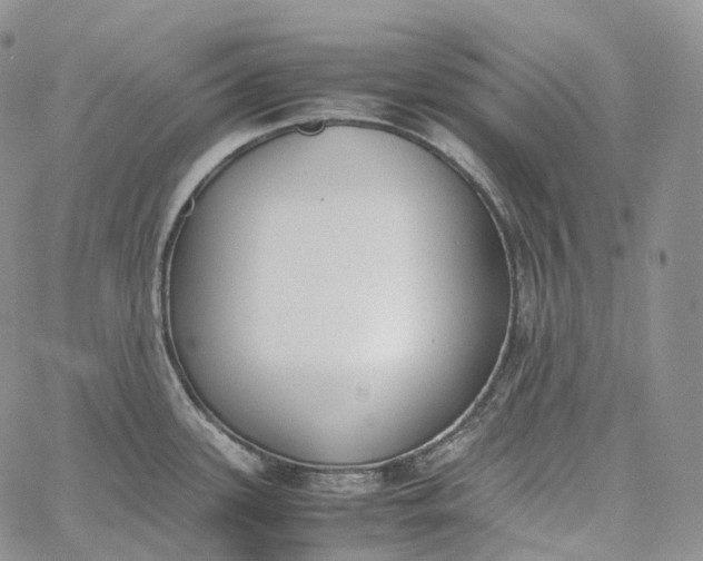 X0000060801339200511241901