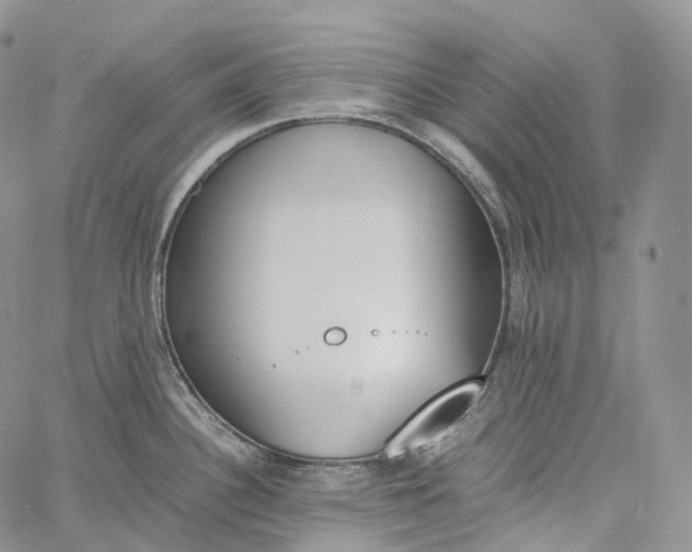 X0000060801340200511241901