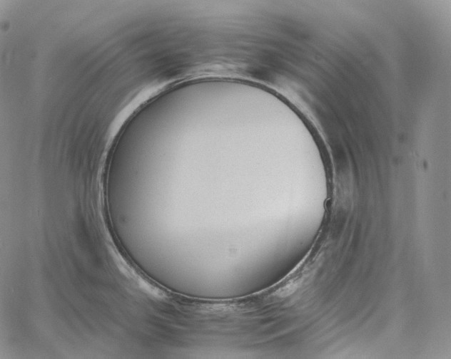 X0000060801341200511241901