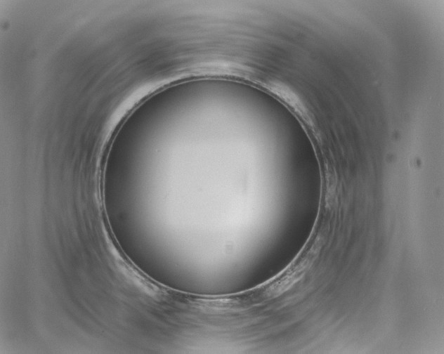 X0000060801342200511241901