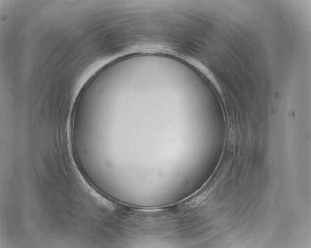 X0000060801343200511241901