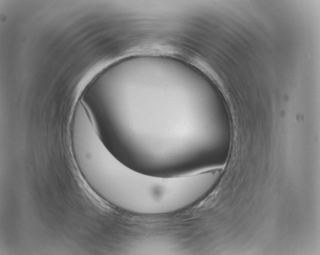 X0000060801344200511241901