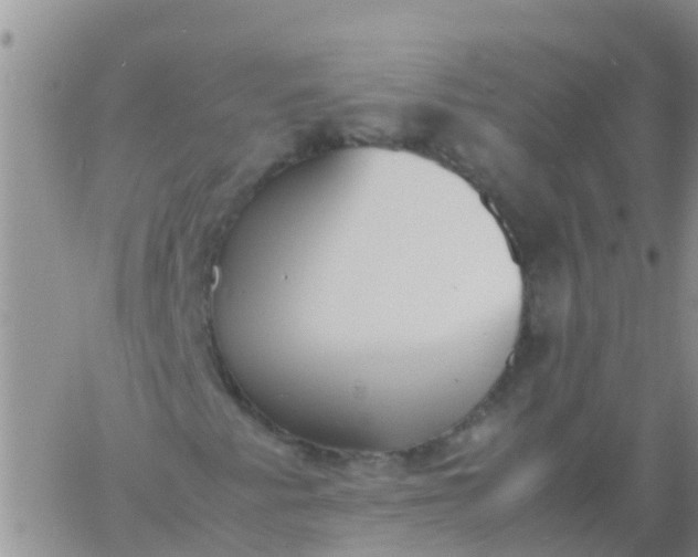 X0000060801345200511241900