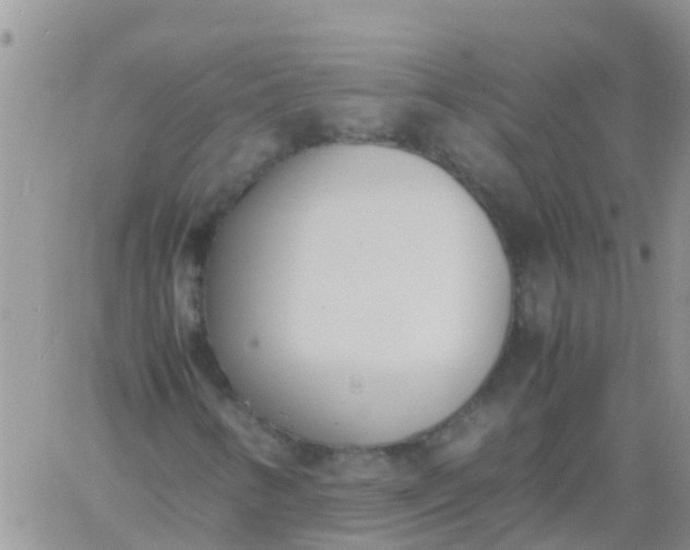 X0000060801346200511241900