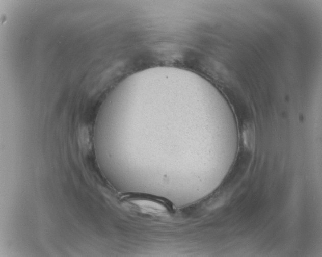 X0000060801347200511241900