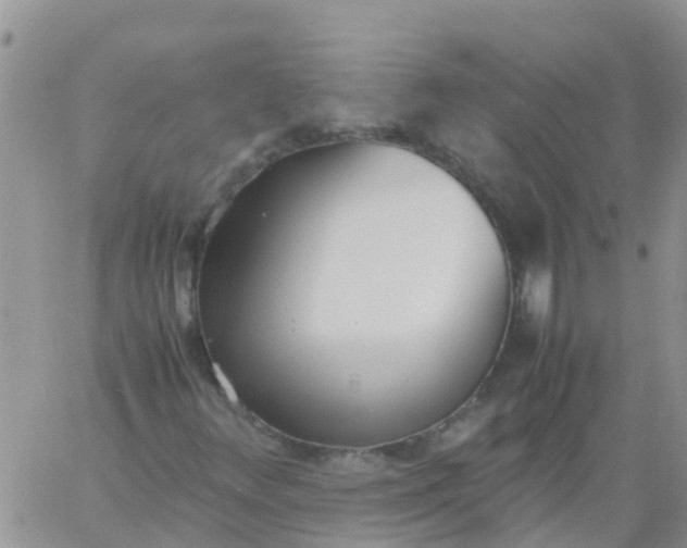 X0000060801348200511241900