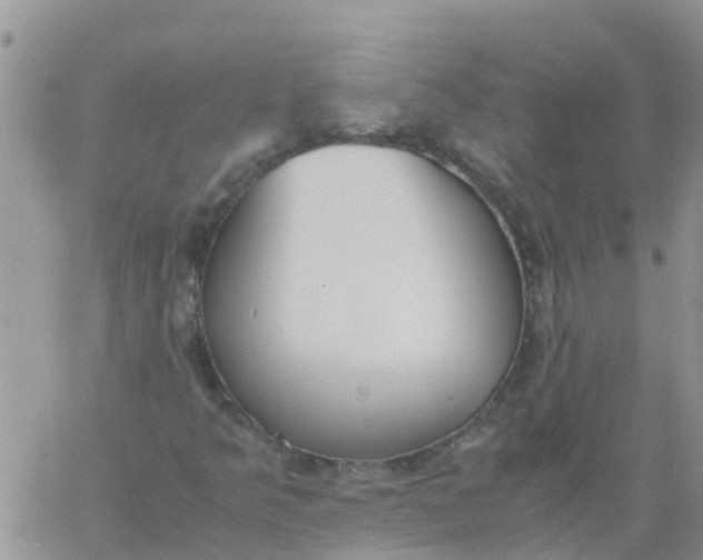 X0000060801349200511241900