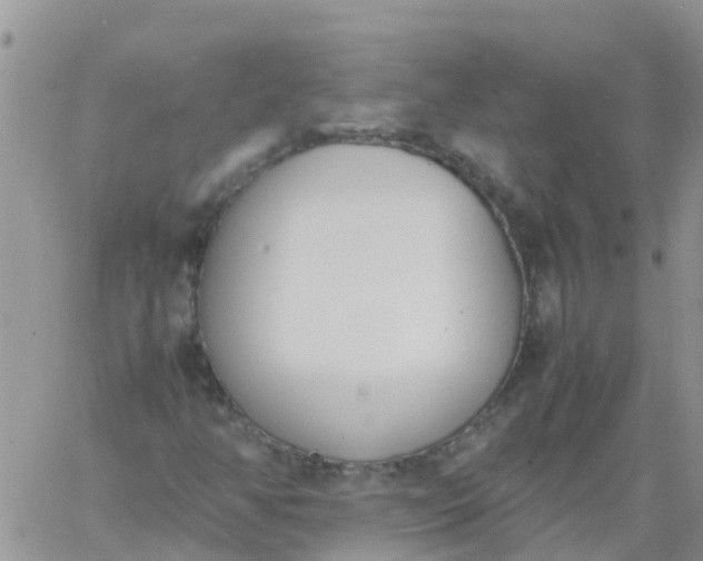 X0000060801350200511241900