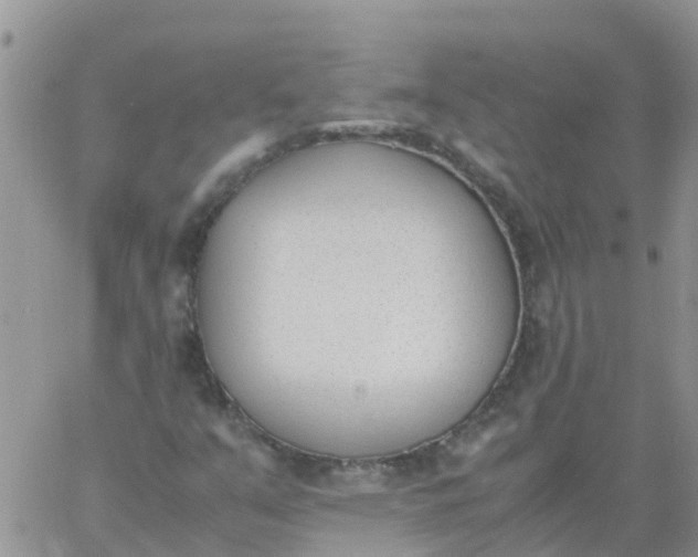 X0000060801351200511241900