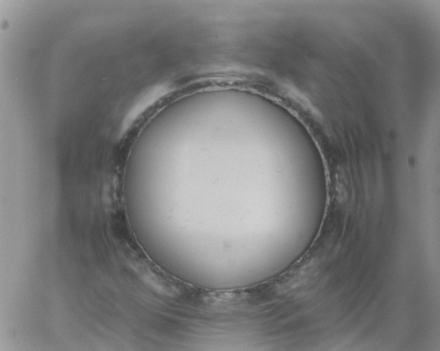 X0000060801352200511241900