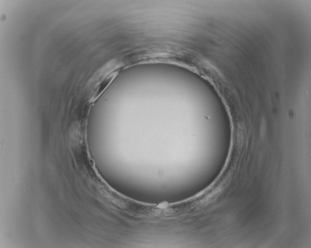 X0000060801353200511241900