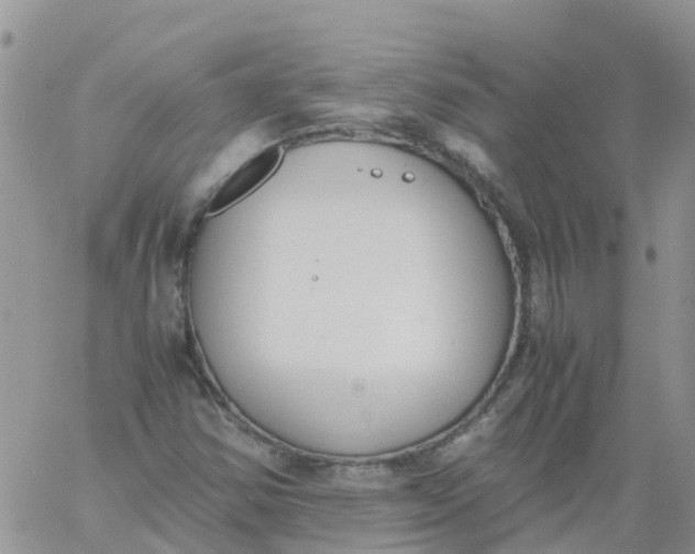 X0000060801354200511241900