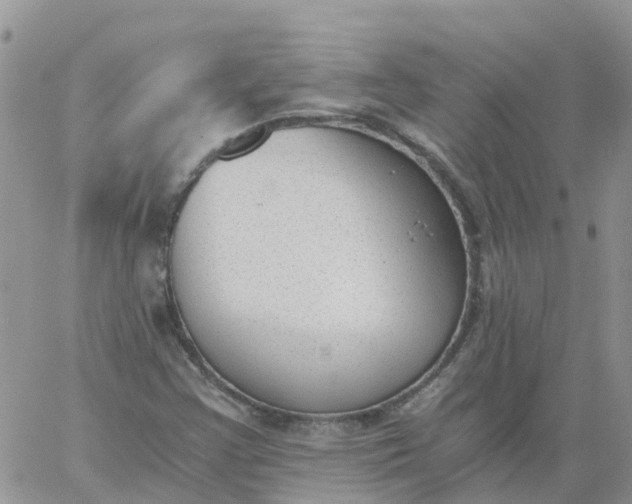 X0000060801355200511241900