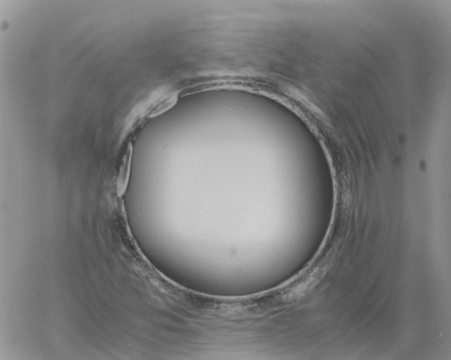 X0000060801357200511241900