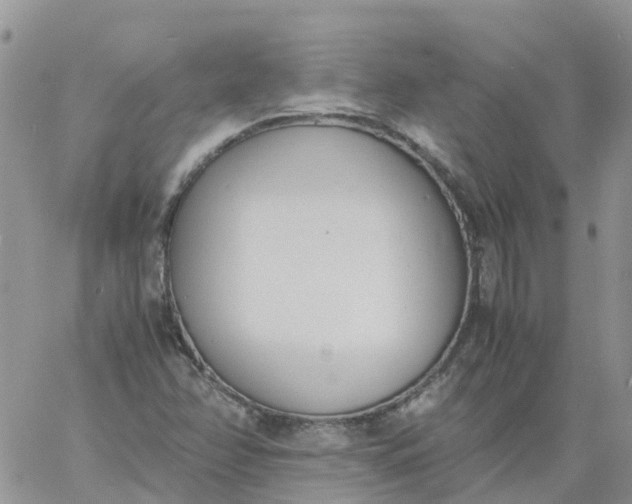 X0000060801358200511241900