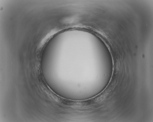 X0000060801359200511241900