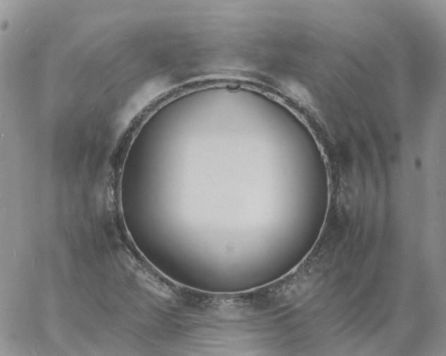 X0000060801360200511241900