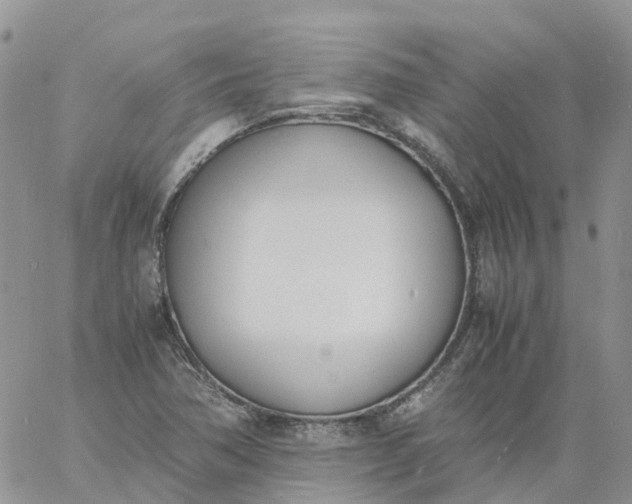 X0000060801362200511241900