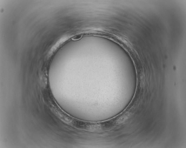 X0000060801363200511241900