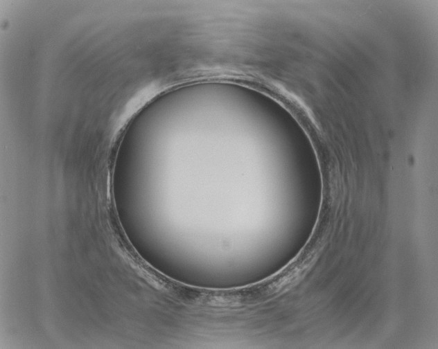 X0000060801365200511241900