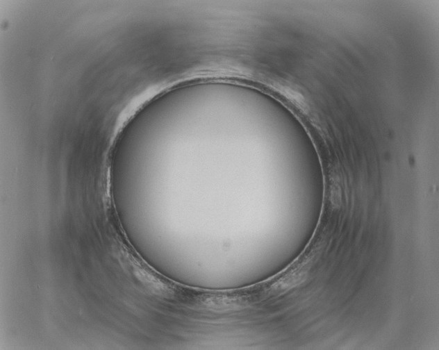 X0000060801366200511241900