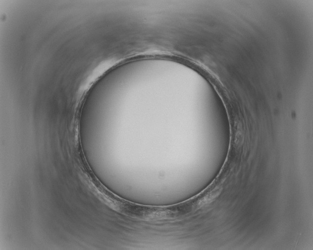 X0000060801367200511241859