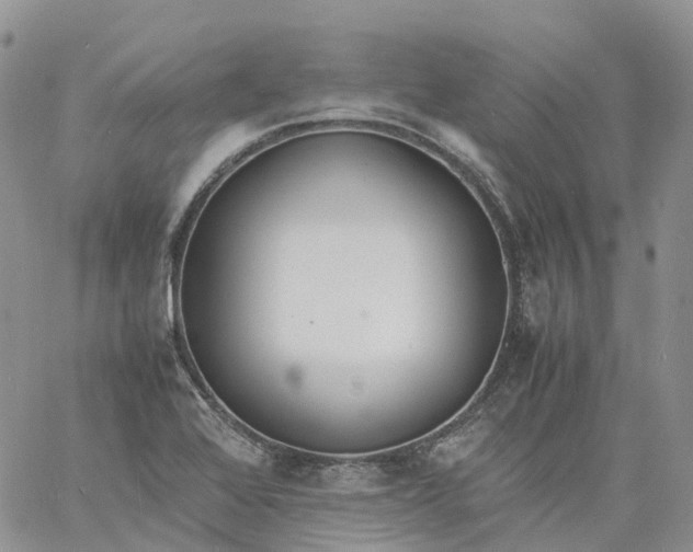 X0000060801368200511241859