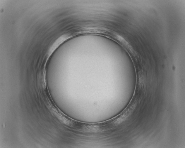 X0000060801370200511241859