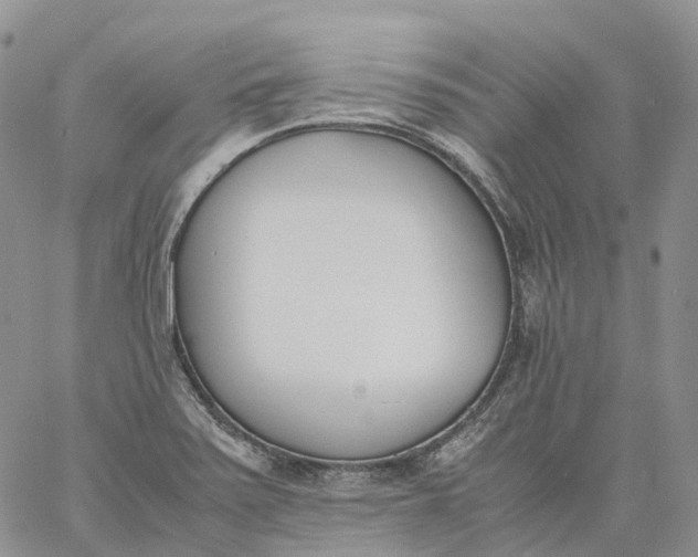 X0000060801371200511241859