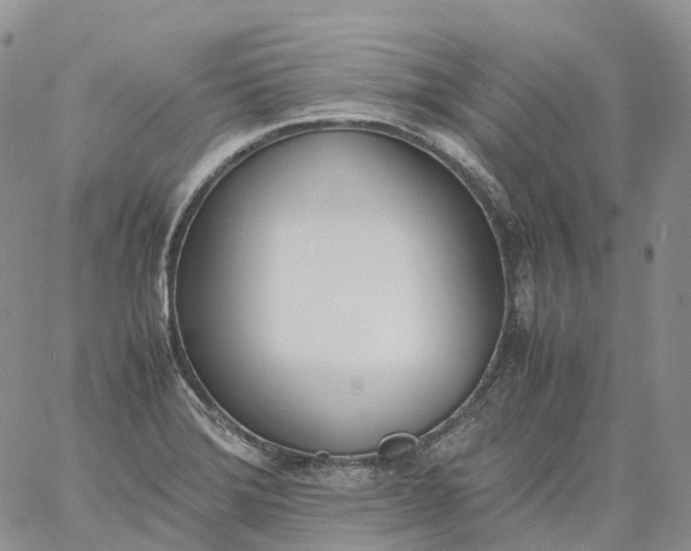 X0000060801372200511241859