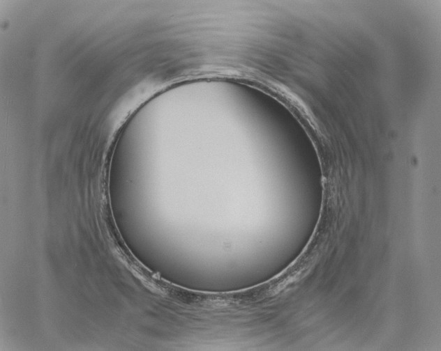 X0000060801373200511241859