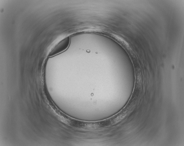 X0000060801375200511241859