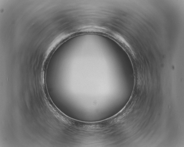 X0000060801376200511241859