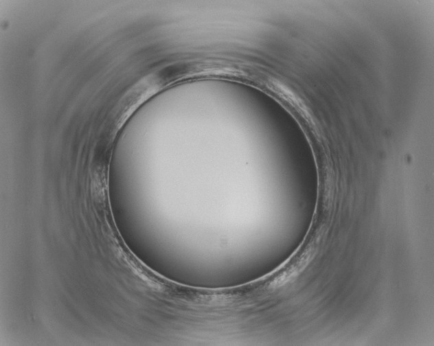 X0000060801377200511241859