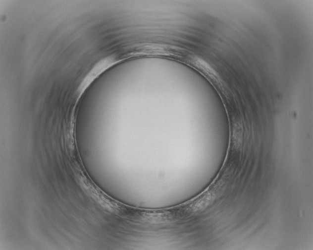 X0000060801378200511241859