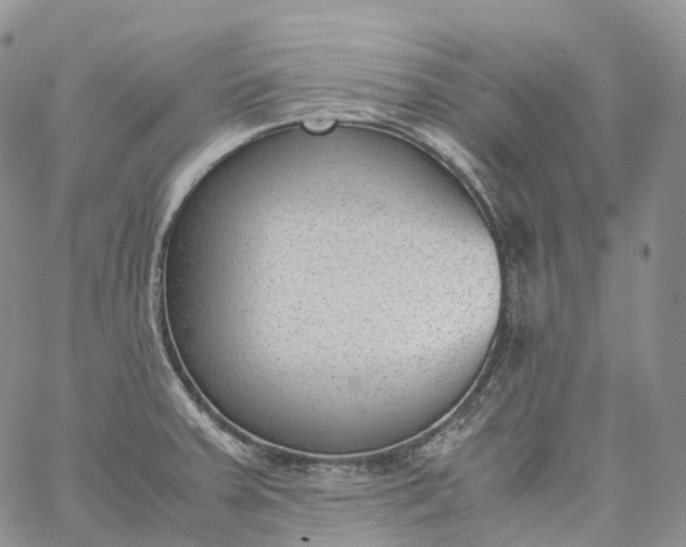 X0000060801379200511241859