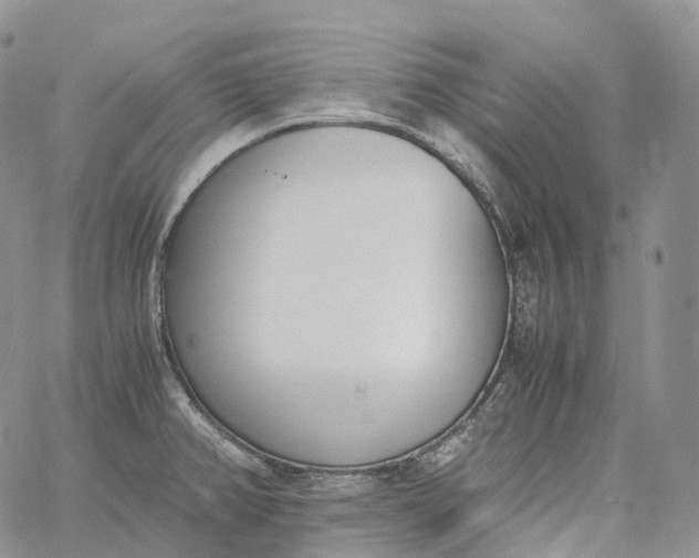 X0000060801382200511241859