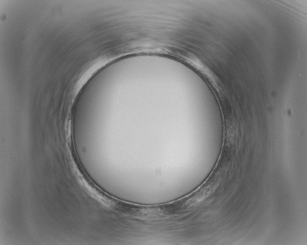 X0000060801383200511241859