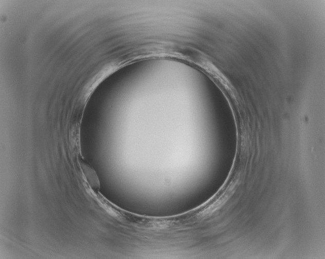 X0000060801385200511241859