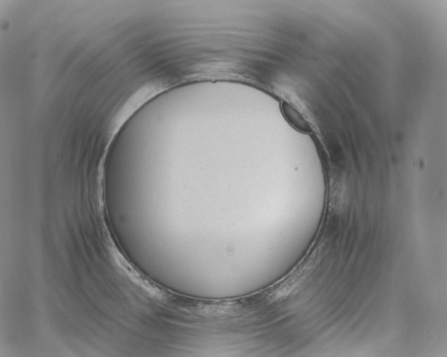 X0000060801386200511241859