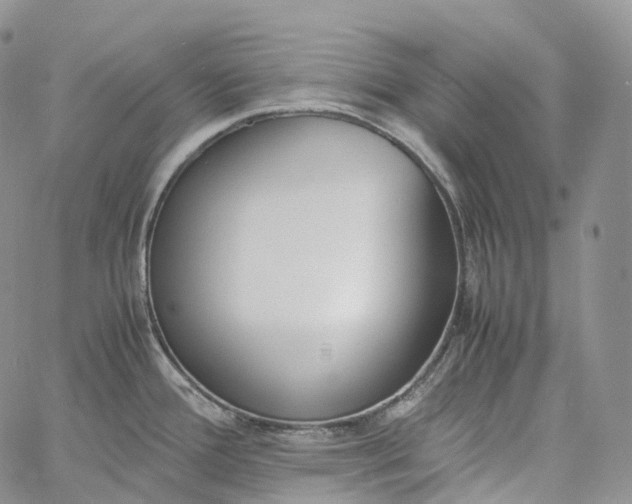 X0000060801388200511241859